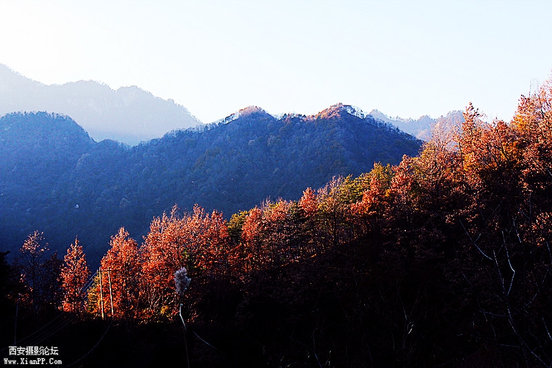 IMG_8114_副本.jpg