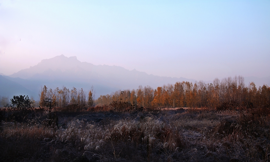 DSC_0441.jpg