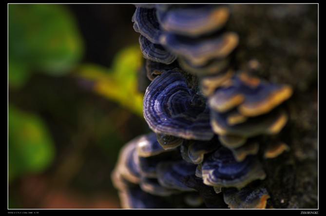 NGCAVYNGF7CACTGOFPCA86K2D1CAX1PY3VCAXRHJQSCAM9DLG5CA2PDNAOCAXS2OZECA5TXDFPCAX0IH.jpg