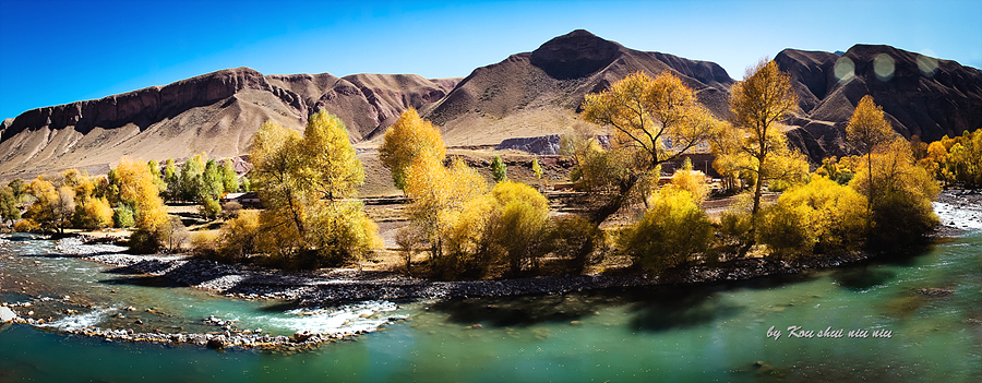 DSC00501-900（全景）.jpg