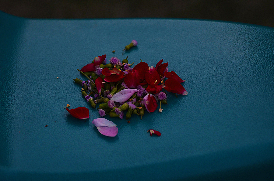 DSC_1208.jpg