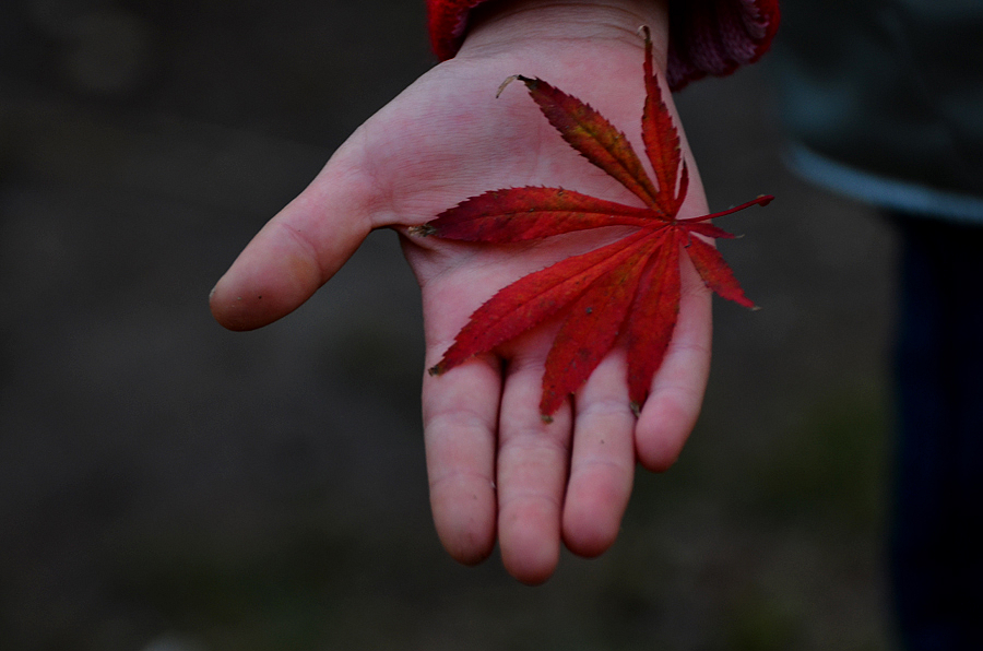 DSC_1198.jpg