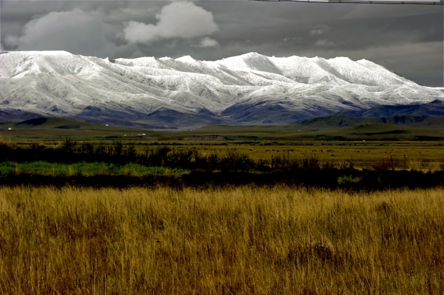 DSC_3352.jpg