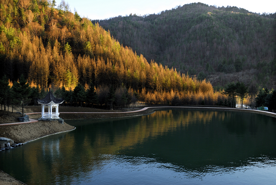 _DSC0028.jpg