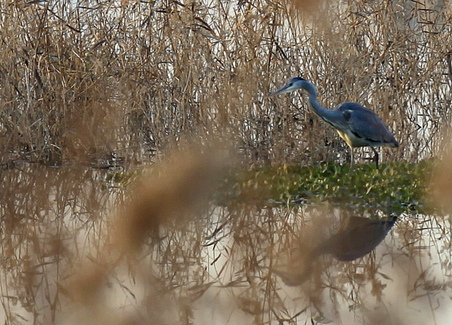 IMG_2675.JPG