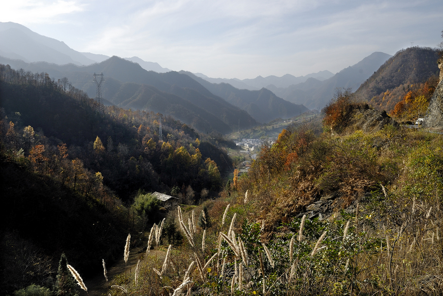 _DSC0012.jpg
