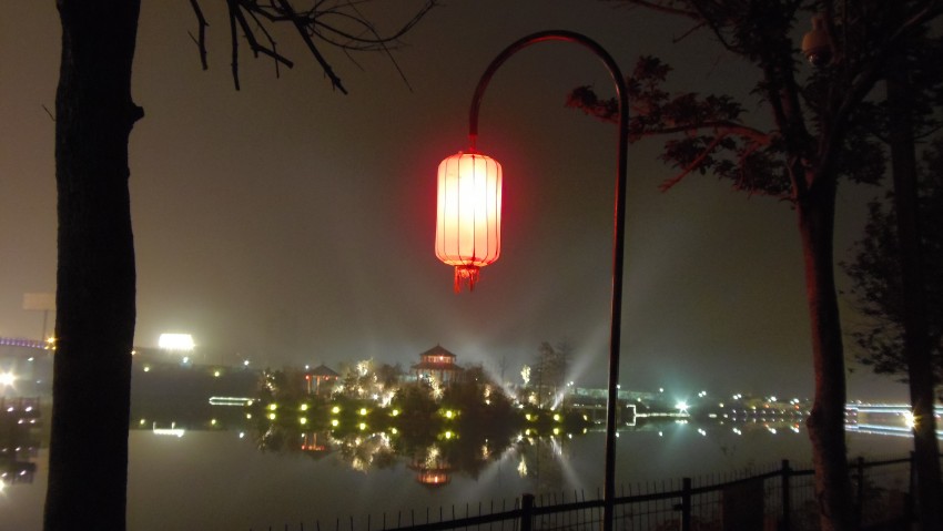 PB010470_conew1.jpg