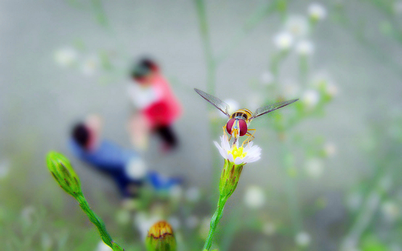这个季节.jpg