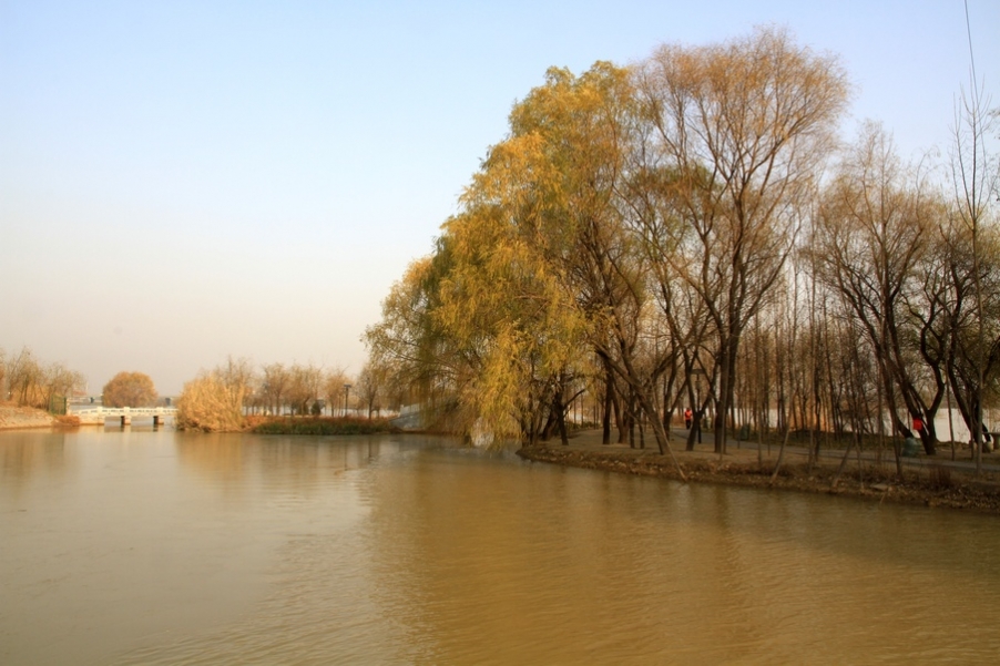 浐灞秋景 363.jpg