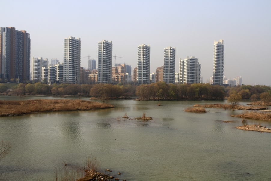 浐灞秋景 497.jpg