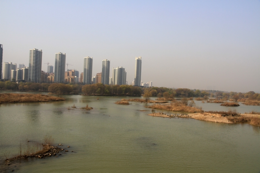 浐灞秋景 499.jpg