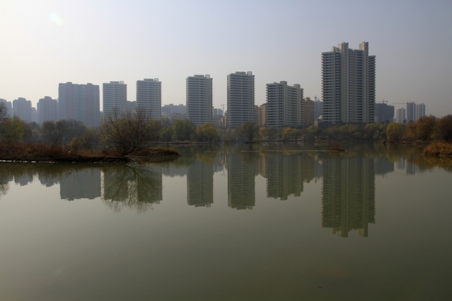 浐灞秋景 522.jpg