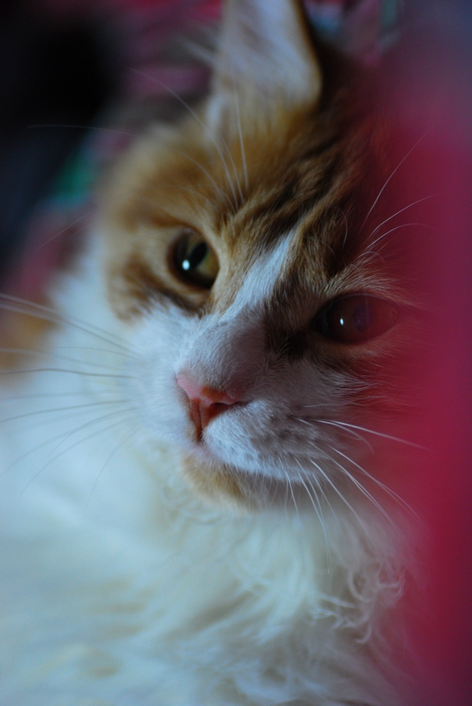 DSC_0580.jpg