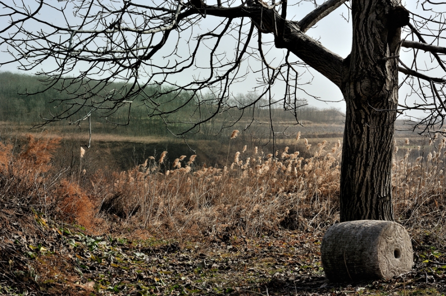 DSC_6701.jpg
