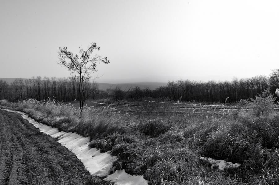DSC_6665.jpg
