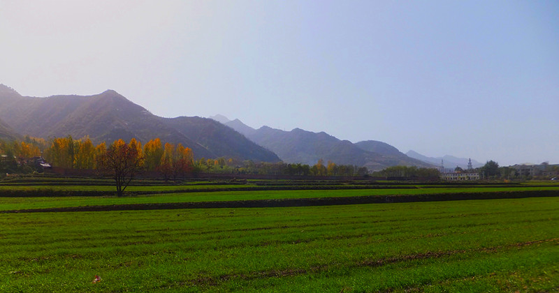 dscf9156_副本.jpg