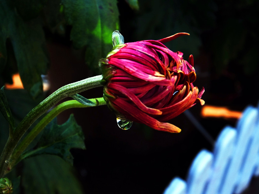 dscf8457_副本.jpg
