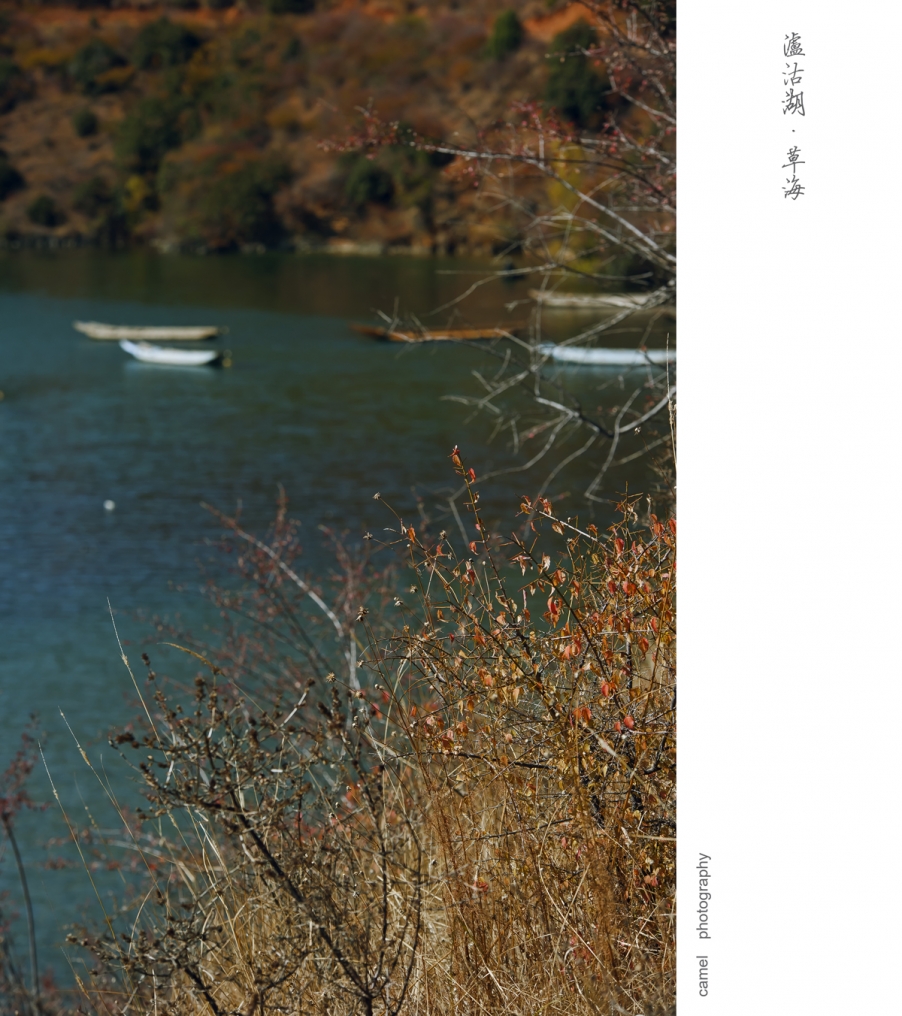 DSC_1302副本.jpg