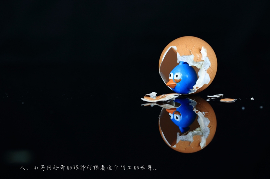 愤怒的小鸟08.jpg