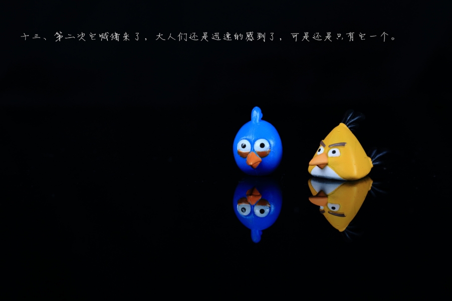愤怒的小鸟13.jpg