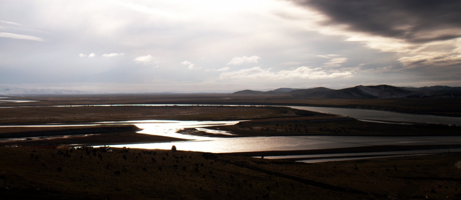 L1022746.jpg