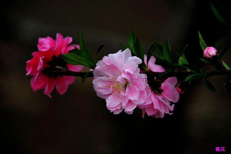 0SC_8947.jpg