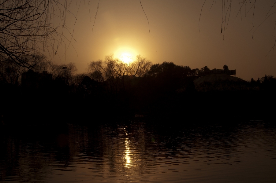 DSC_43281.JPG