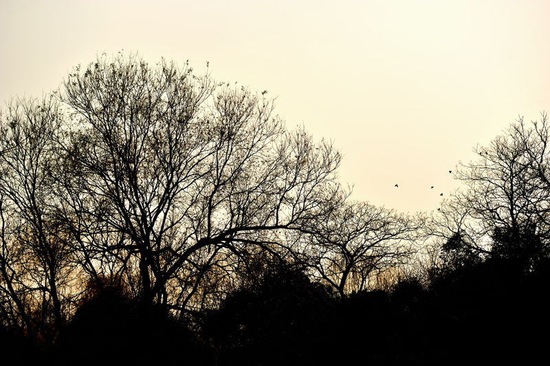 HOU_2607.jpg
