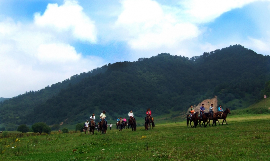 DSCF9466.JPG