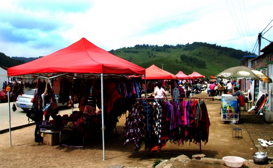 DSCF9485.JPG