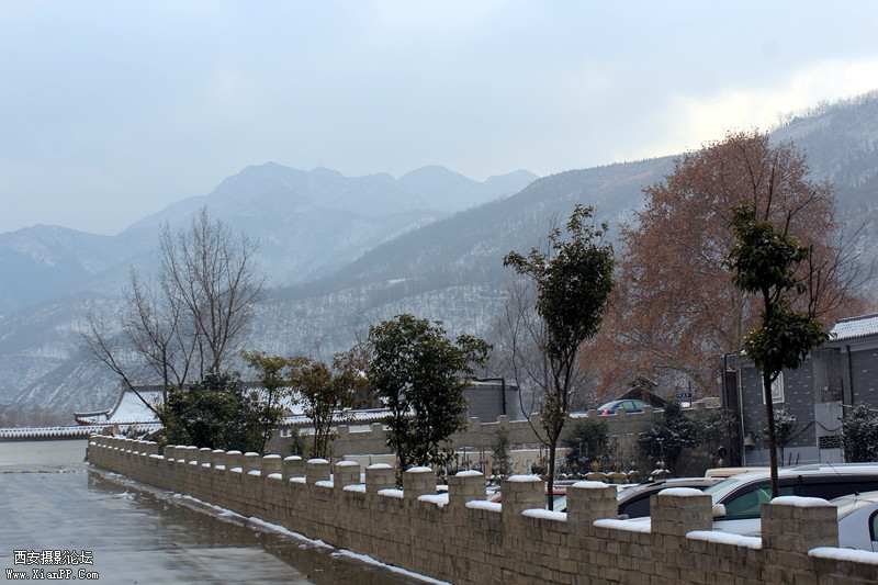 IMG_9097_副本.jpg