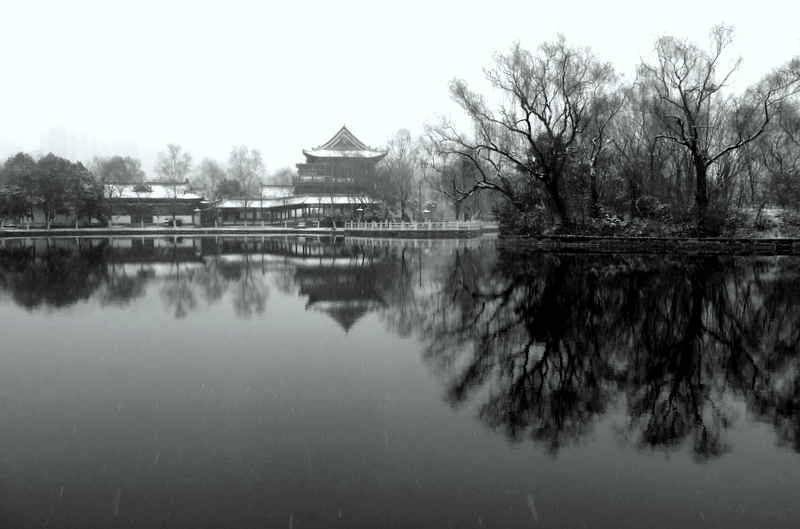 P1110812-002.JPG