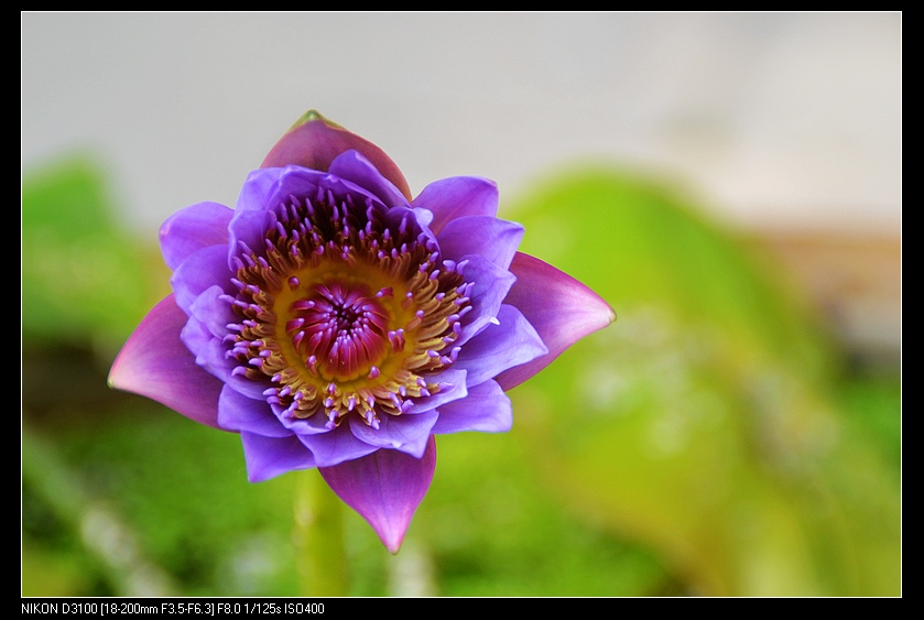 nEO_IMG_DSC_0273.jpg