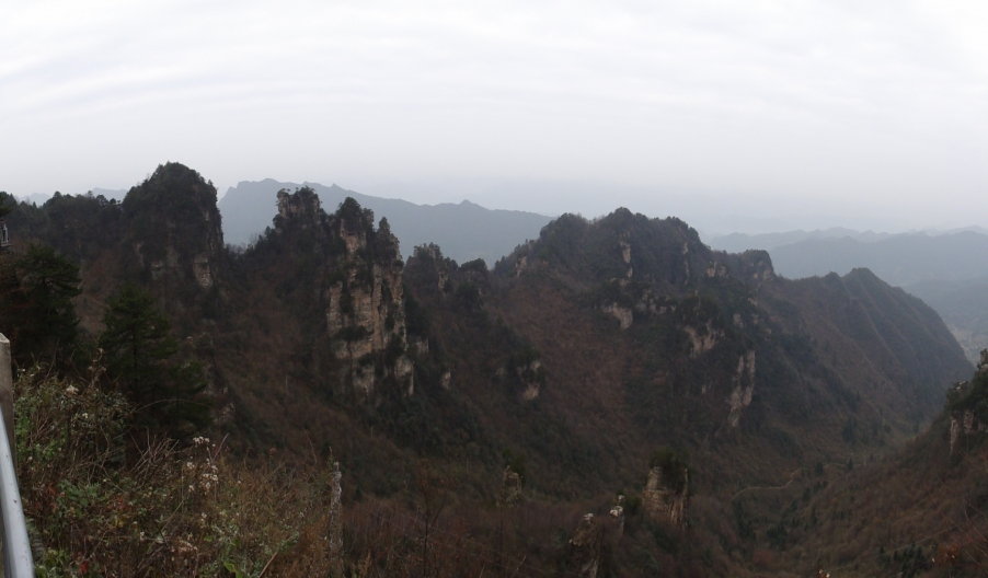 DSC02939.JPG