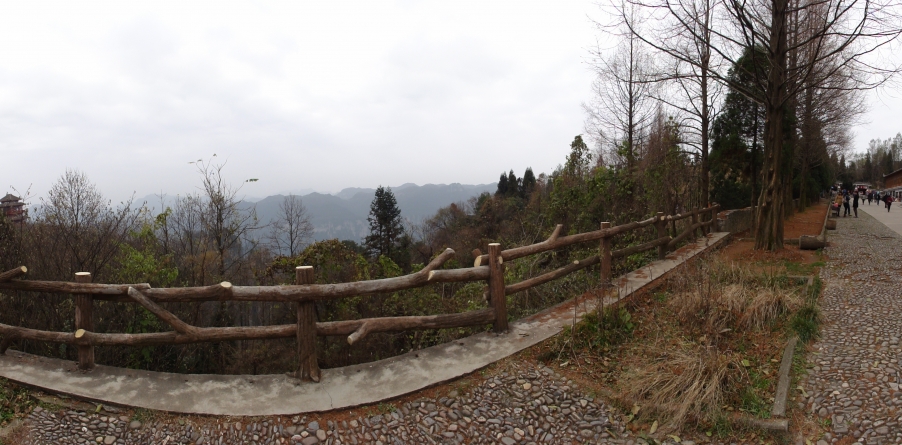 DSC02969.JPG