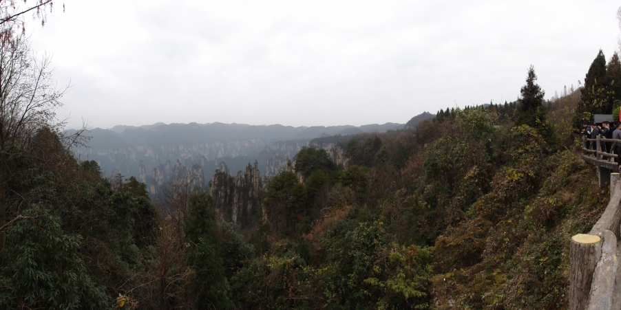DSC02970.JPG