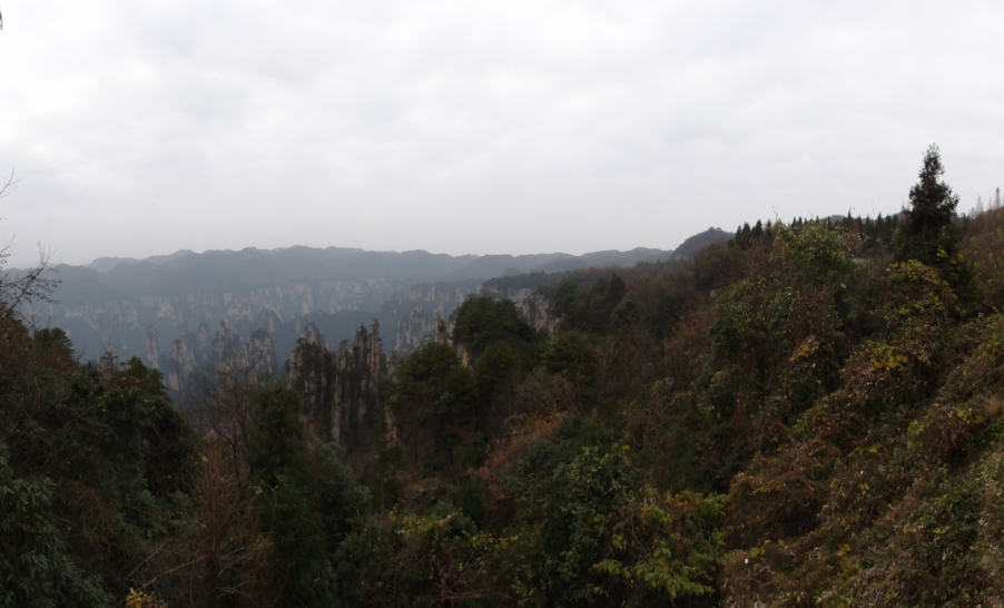DSC02971.JPG