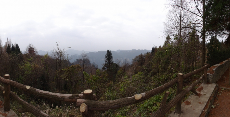 DSC02987.JPG
