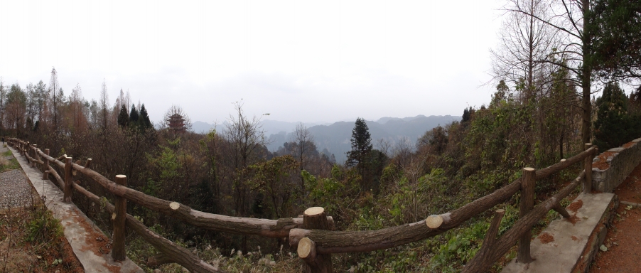 DSC02988.JPG