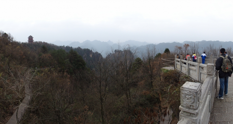 DSC02991.JPG
