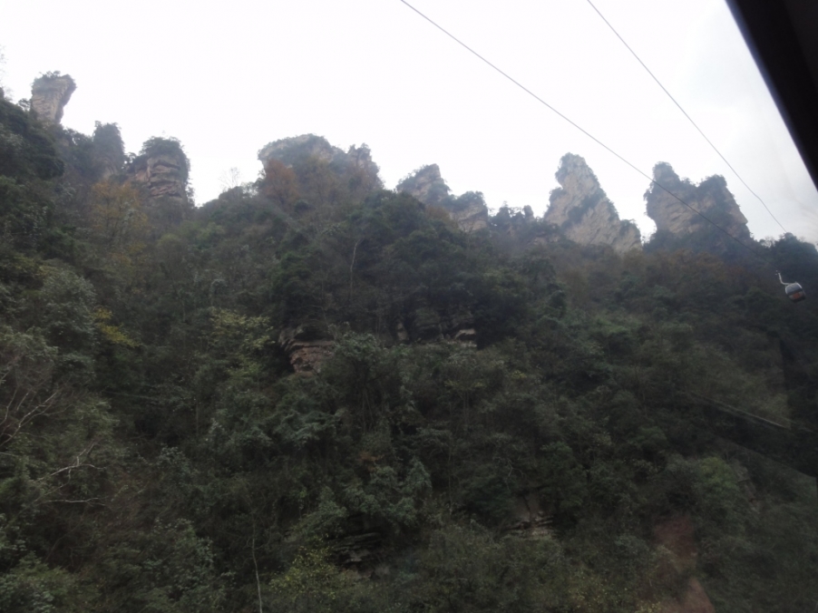 DSC02930.JPG