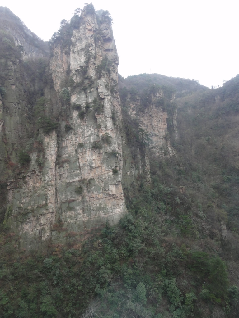 DSC02936.JPG