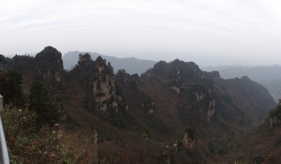 DSC02939.JPG