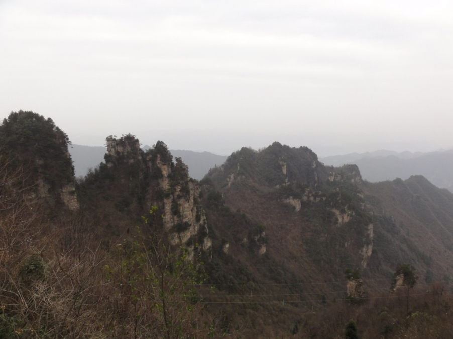 DSC02964.JPG