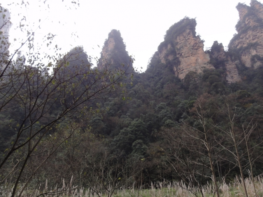 DSC03019.JPG
