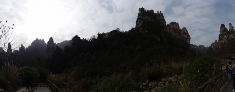 DSC03029.JPG