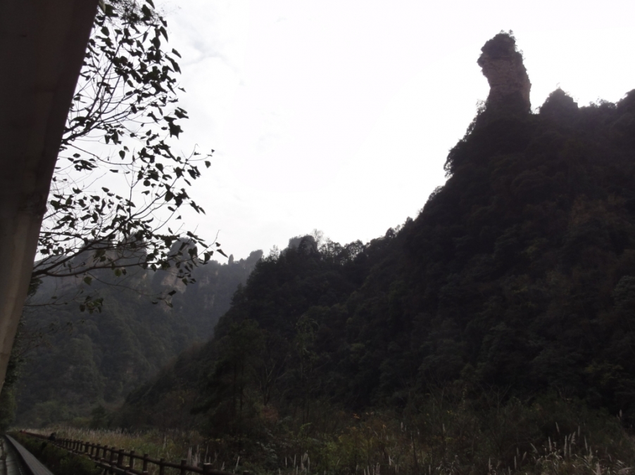 DSC03076.JPG