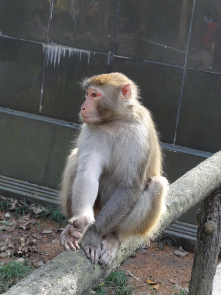 DSC02686.JPG