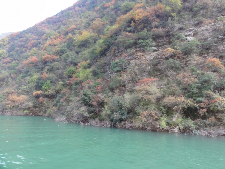DSC02435.JPG