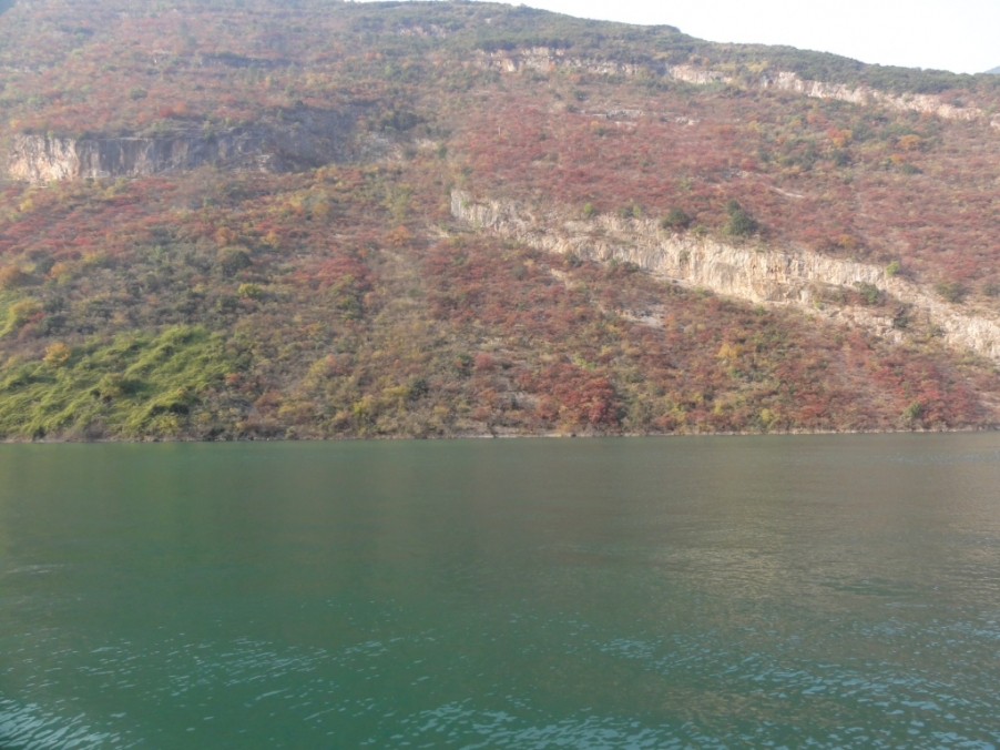 DSC02437.JPG